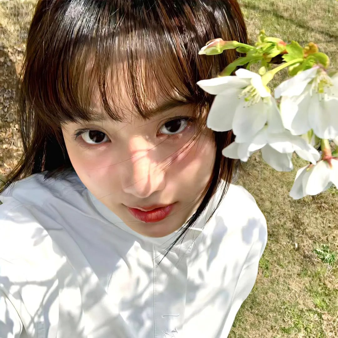 狮子王：木法沙