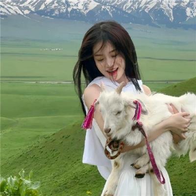 浪子恋